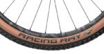 Radon Jealous AL 10.0 SL – Bild 4