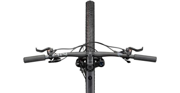 Radon Jealous AL 10.0 SL – Bild 5