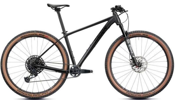 Radon Jealous AL 10.0 SL – Bild 1