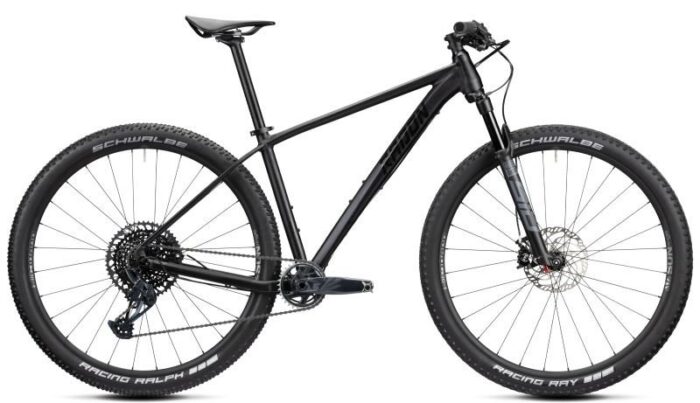 Radon Jealous AL 9.0 – Bild 1